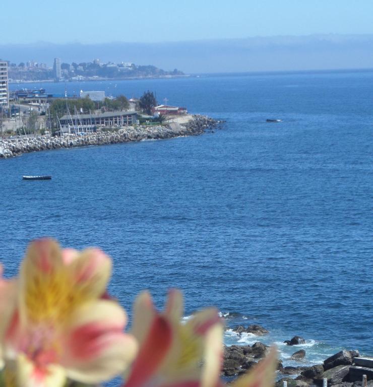 Domus Mare Hotel Vina del Mar Chambre photo